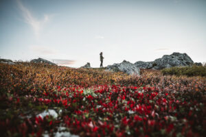 Thumbnail of 